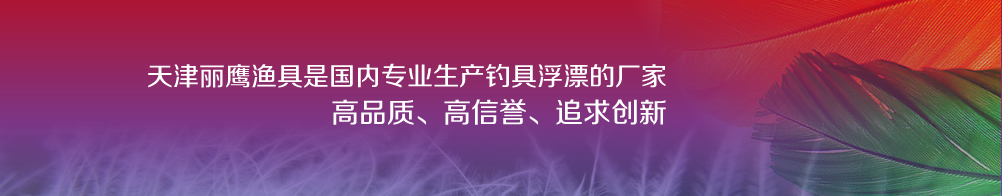 联系我们